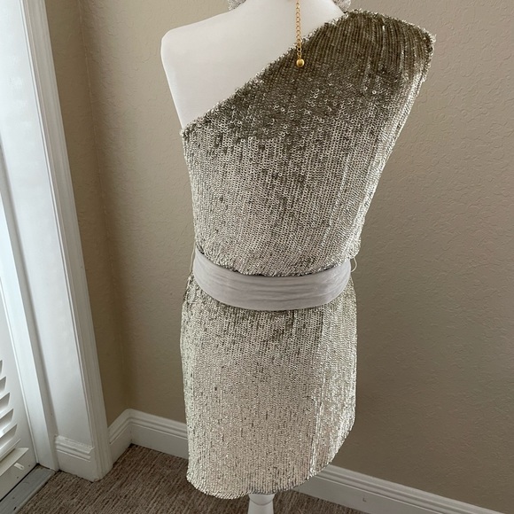 NWT Retrofete Ella Sequin Dress in Champagne Gold XS - Picture 7 of 10